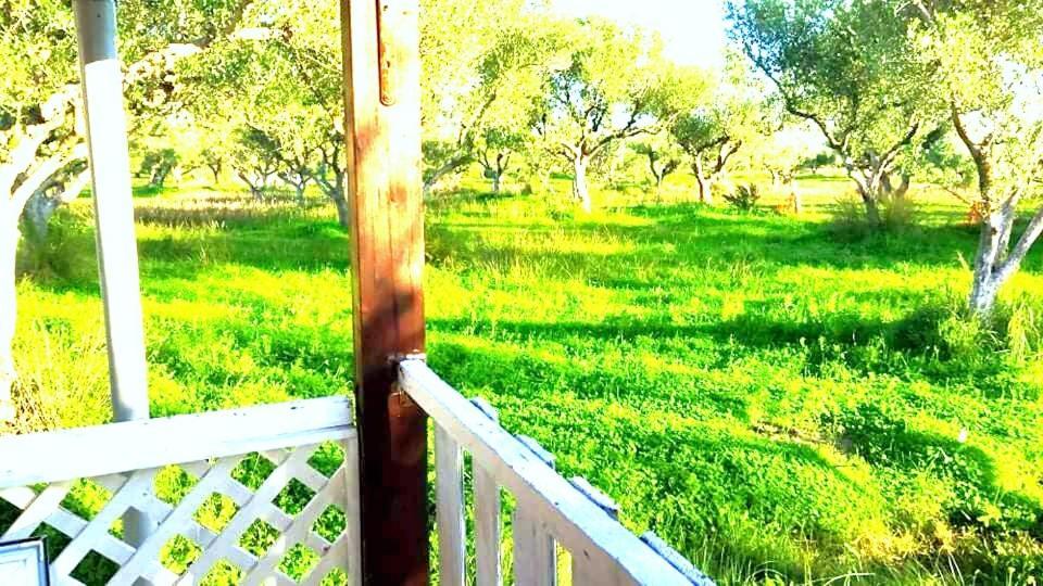 Casa Katina , Villa In Lagana, Agrilia Area Laganas Zewnętrze zdjęcie