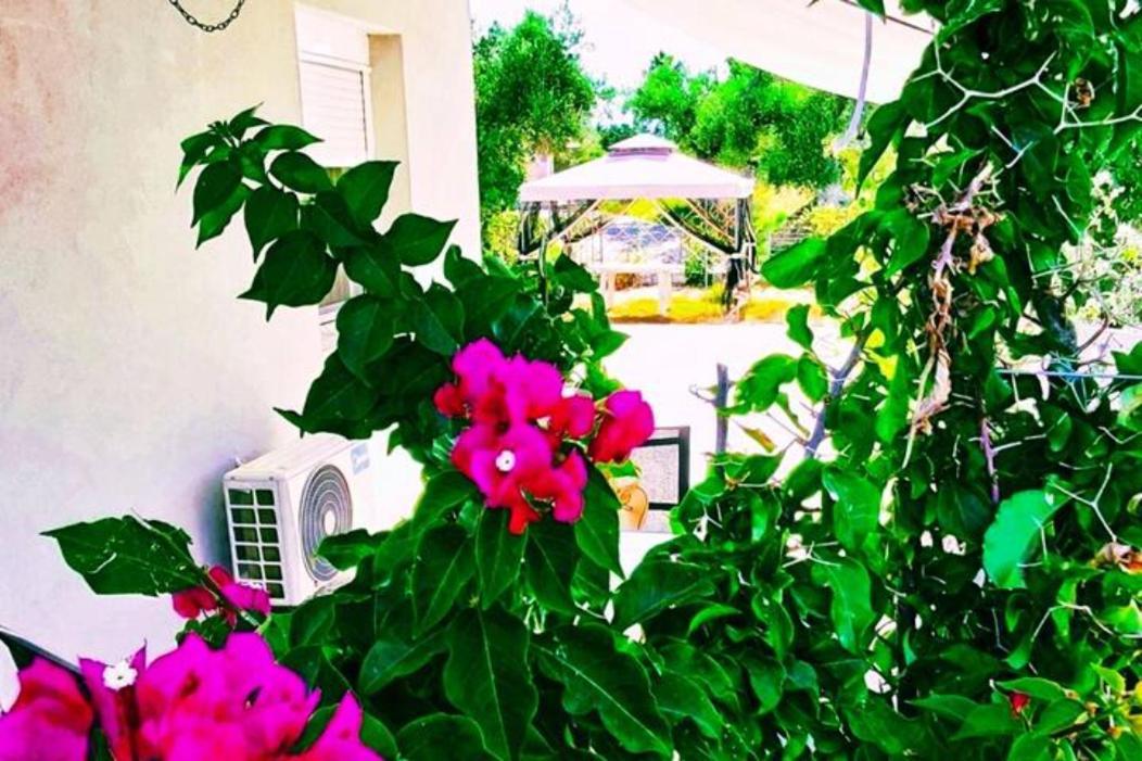 Casa Katina , Villa In Lagana, Agrilia Area Laganas Zewnętrze zdjęcie